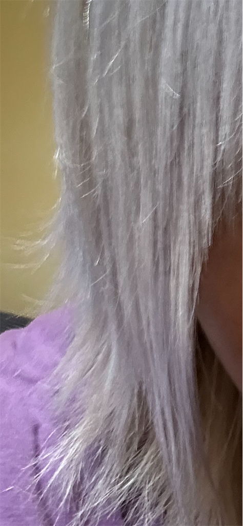 f:id:guuruguuru:20251017174038p:image f:id:guuruguuru:20251017174038p:image