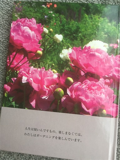 f:id:guutaralin:20190210193919j:plain