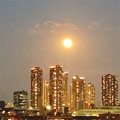 f:id:guutaralin:20190917093737j:image f:id:guutaralin:20190917093737j:image