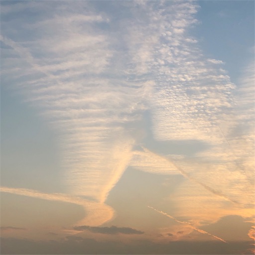 f:id:guutaralin:20191102145803j:plain f:id:guutaralin:20191102145803j:plain