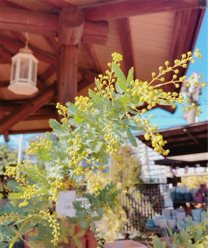 f:id:guutaralin:20230206142651j:image
