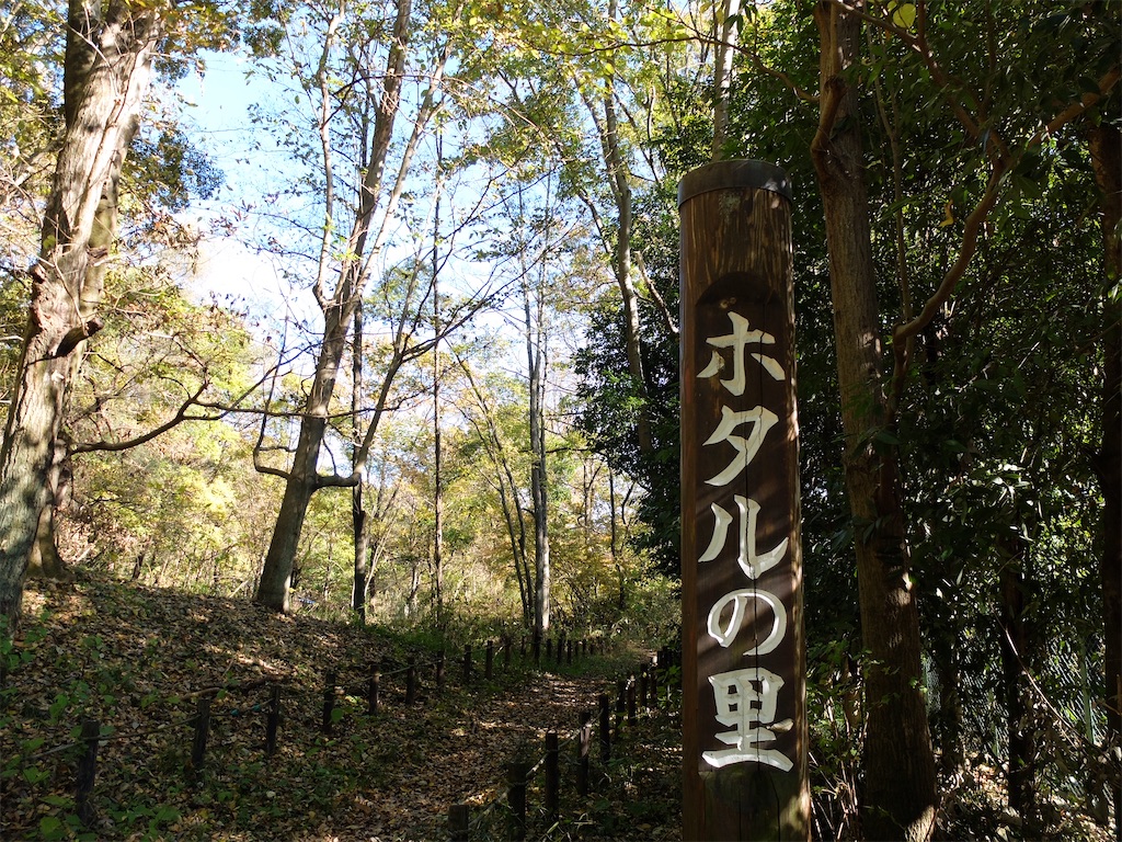 f:id:guuuskp:20241124182331j:image