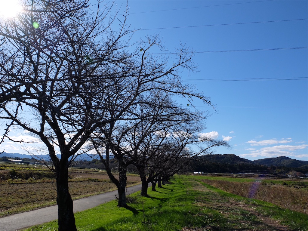 f:id:guuuskp:20241124182617j:image