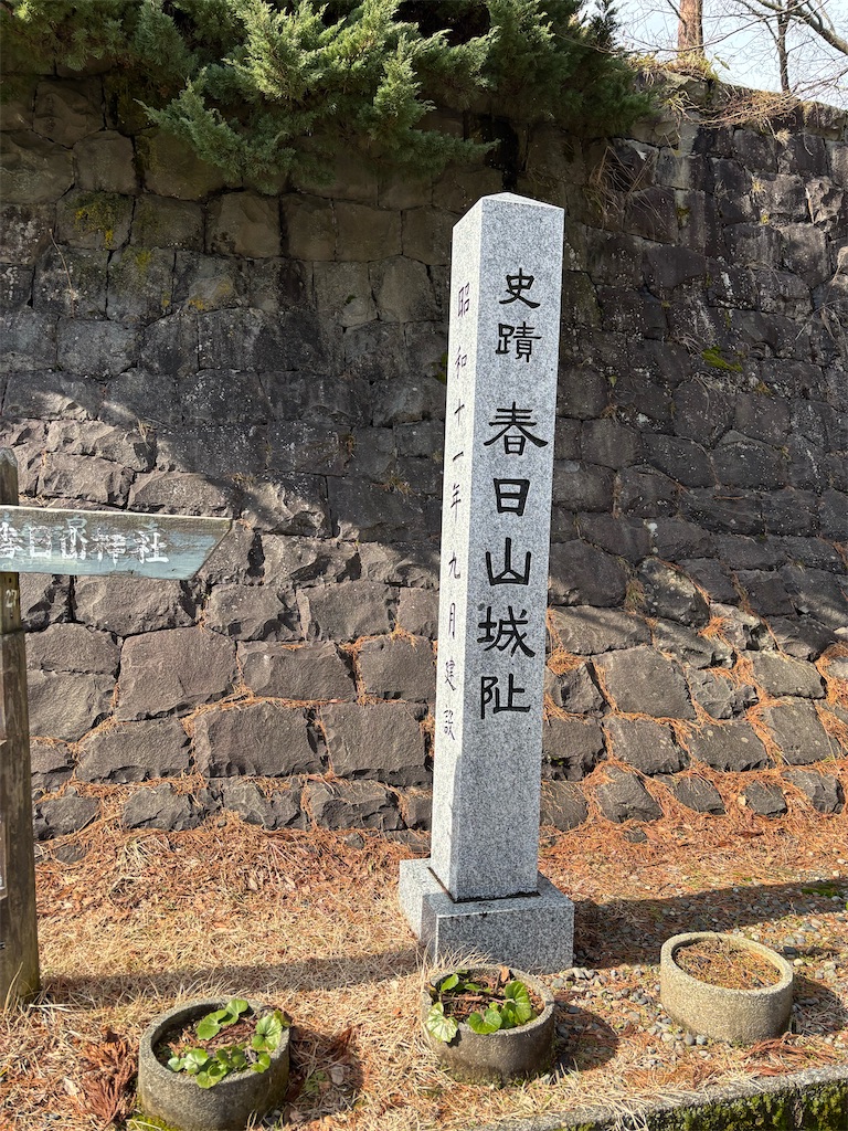 f:id:guuuskp:20250126144306j:image