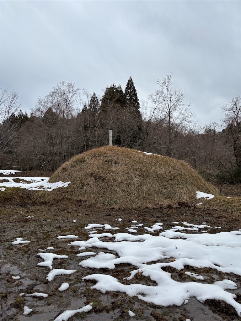 f:id:guuuskp:20250201192343j:image