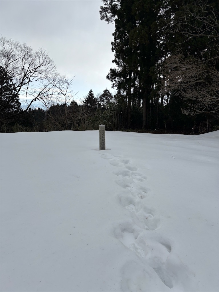 f:id:guuuskp:20250201192347j:image