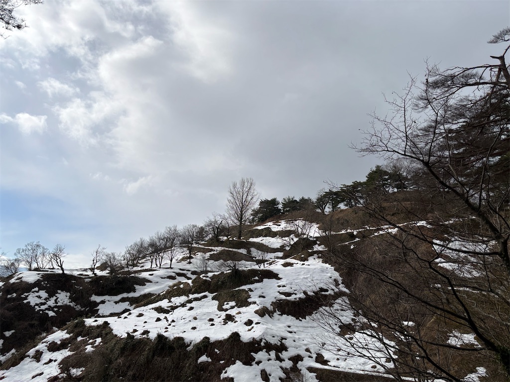 f:id:guuuskp:20250201192350j:image