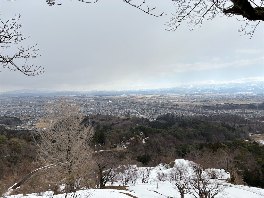 f:id:guuuskp:20250201192354j:image