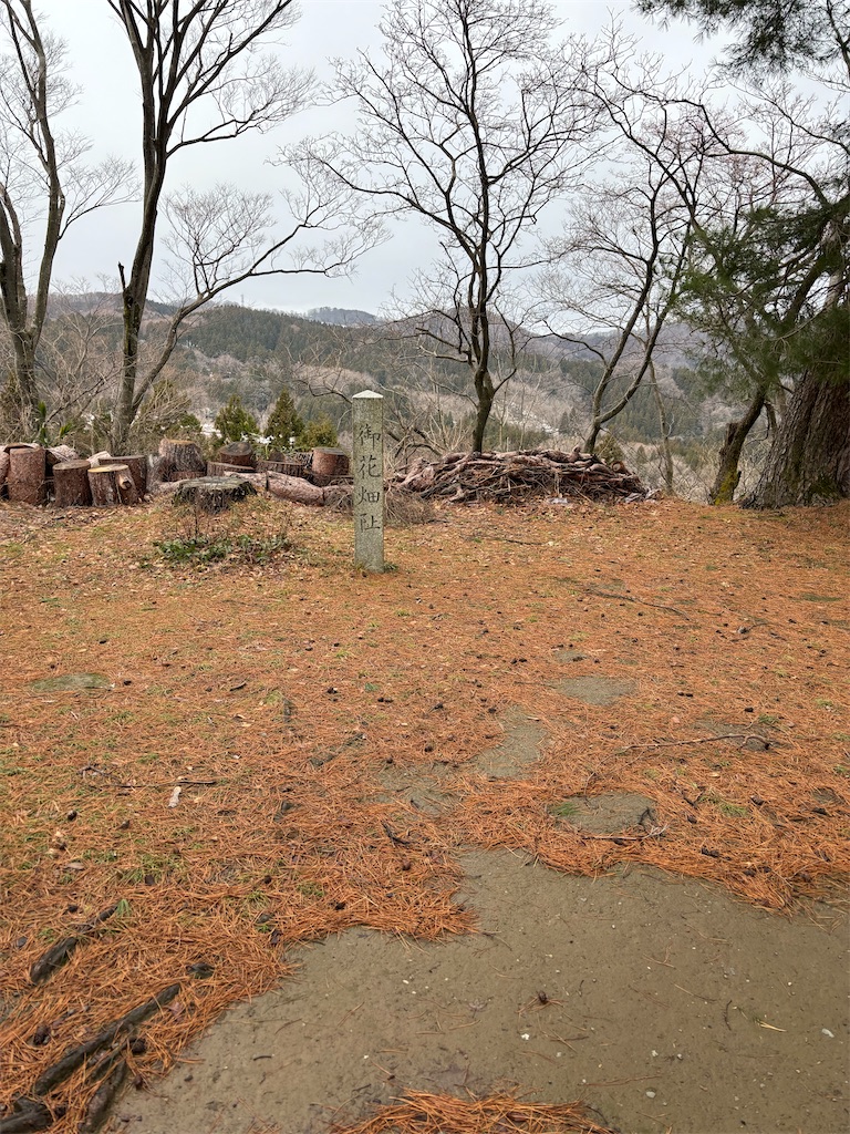 f:id:guuuskp:20250201192401j:image