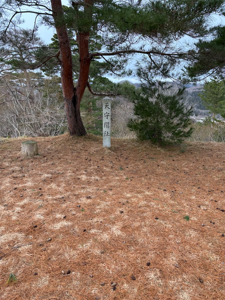 f:id:guuuskp:20250201192410j:image