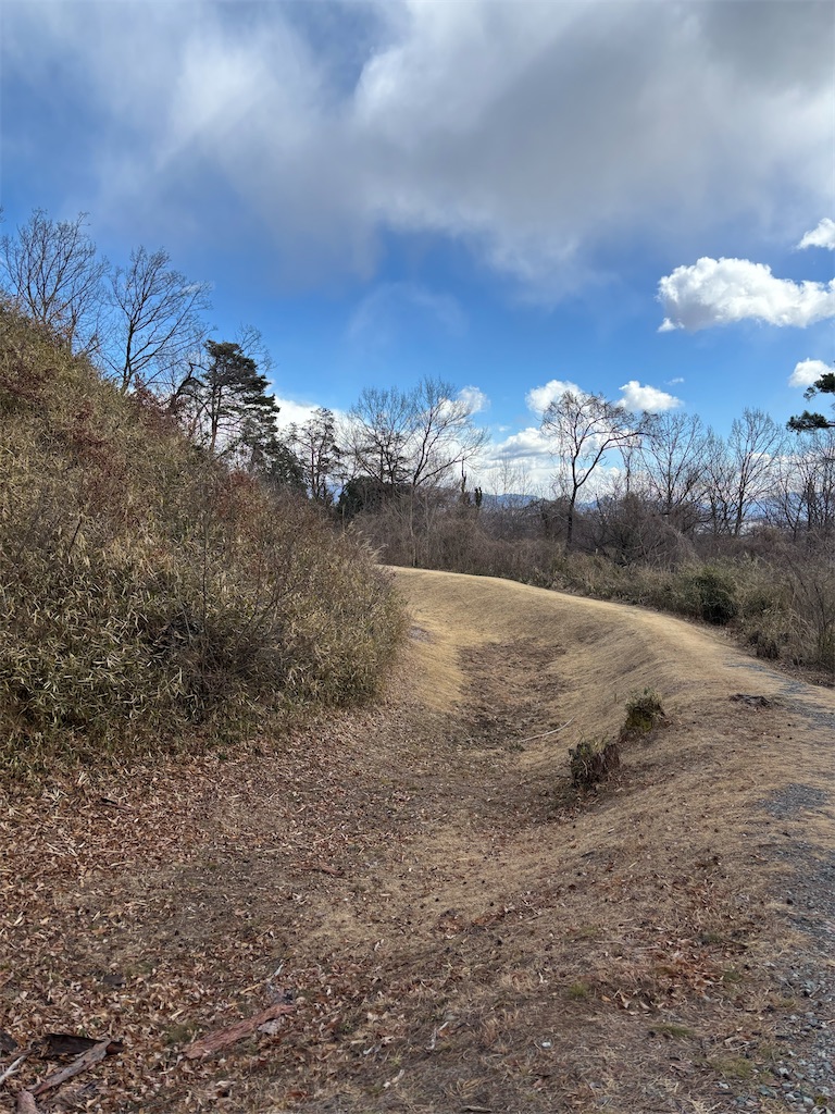 f:id:guuuskp:20250302180503j:image