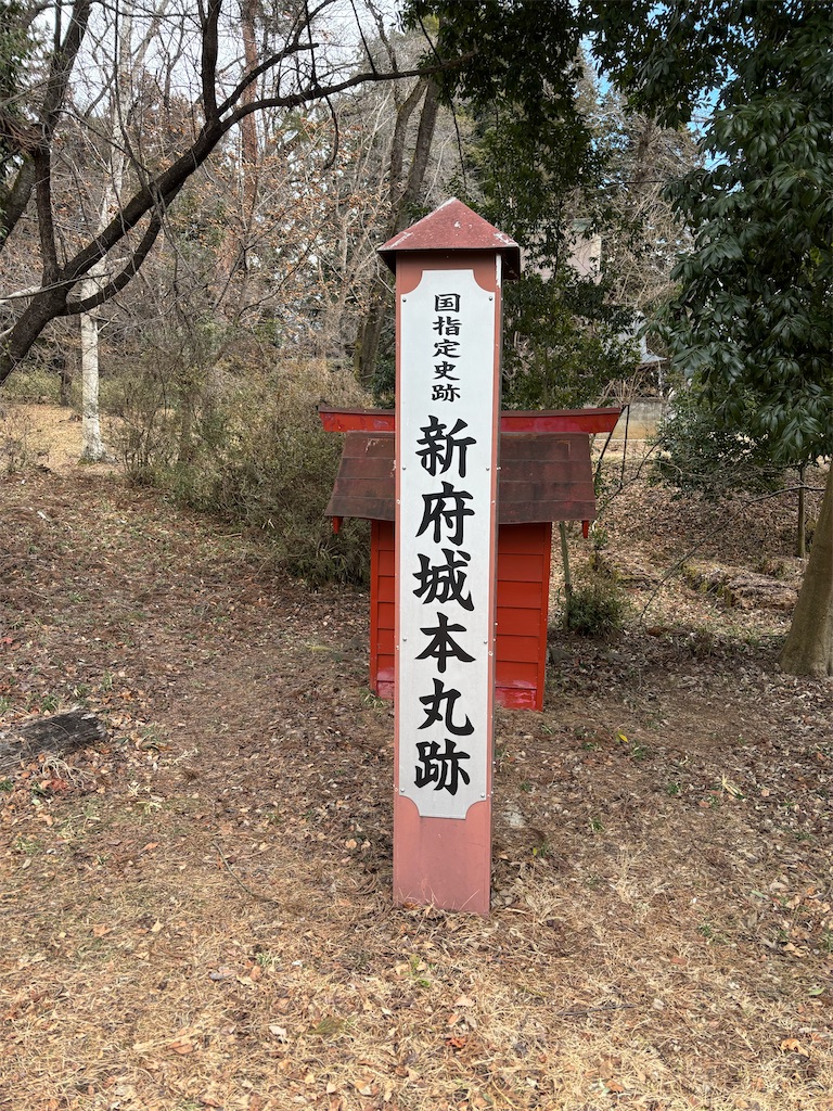 f:id:guuuskp:20250302180828j:image