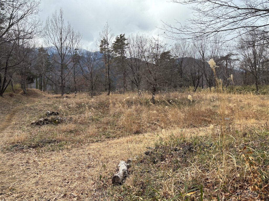 f:id:guuuskp:20250302180931j:image