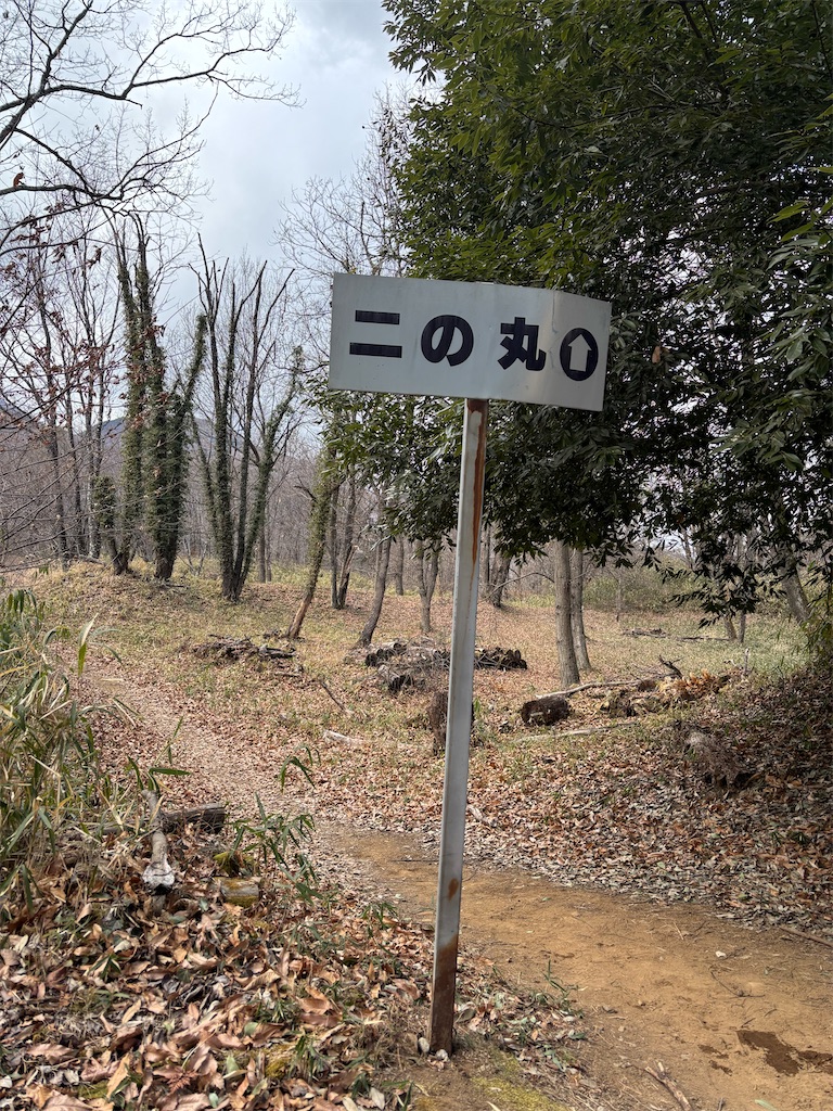 f:id:guuuskp:20250302180937j:image