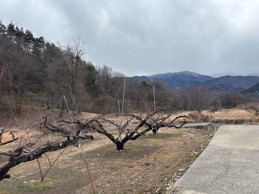 f:id:guuuskp:20250302183540j:image
