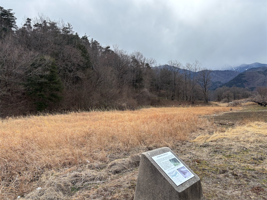 f:id:guuuskp:20250302183546j:image