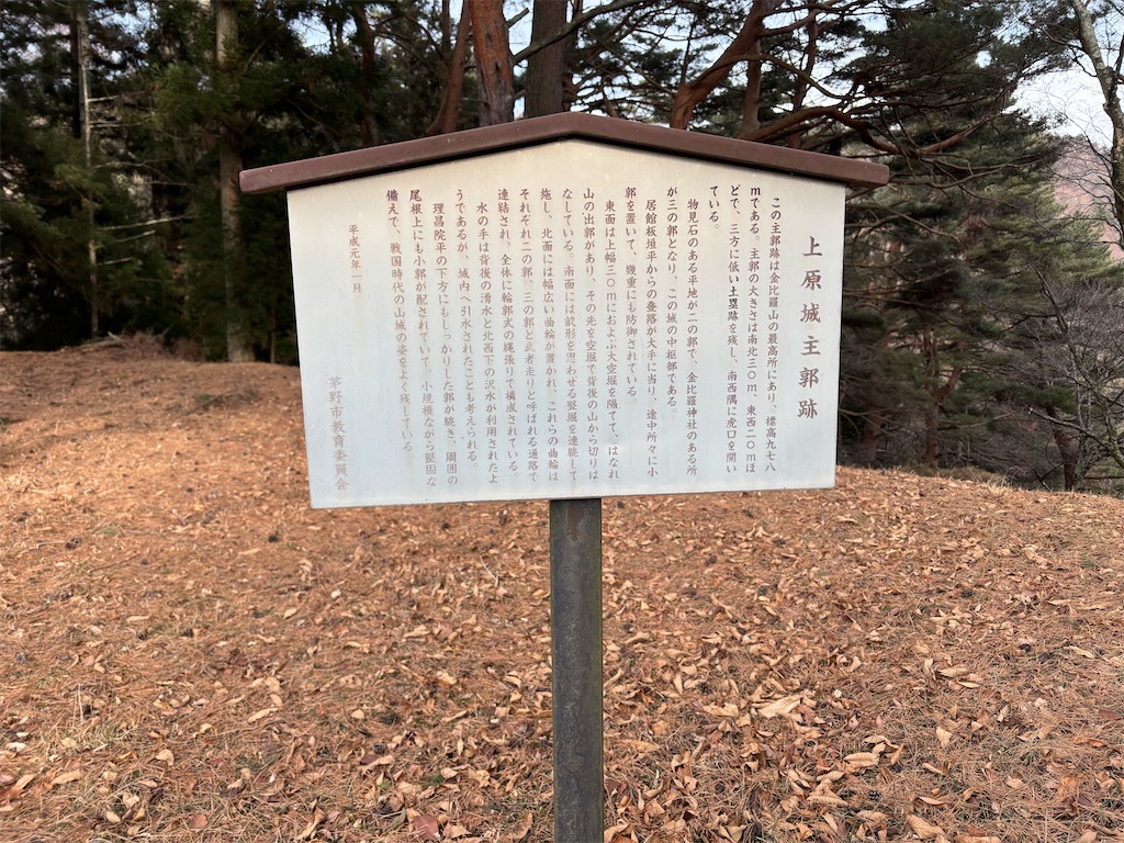 f:id:guuuskp:20250302210255j:image