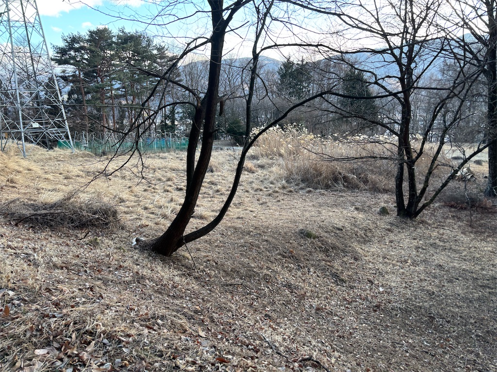 f:id:guuuskp:20250309180651j:image