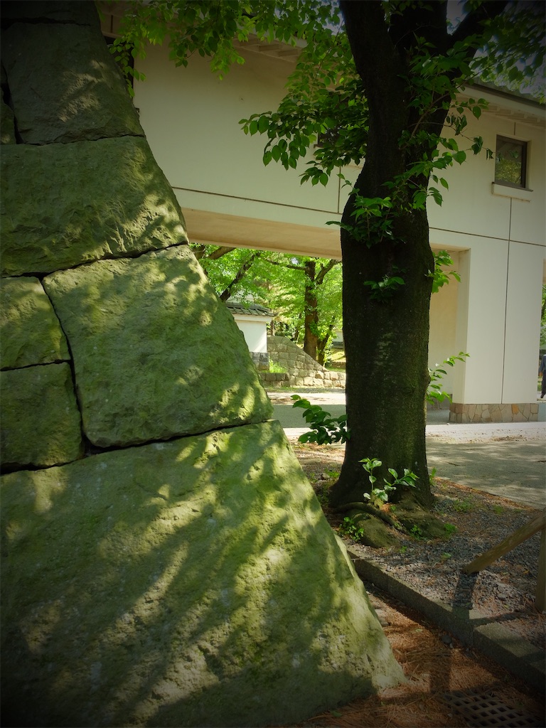 f:id:guuuskp:20250721181809j:image