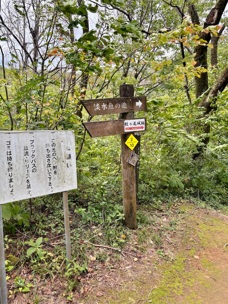 f:id:guuuskp:20251005174320j:image