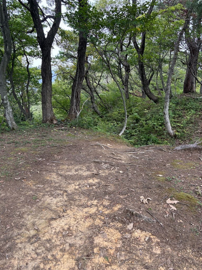 f:id:guuuskp:20251005175044j:image