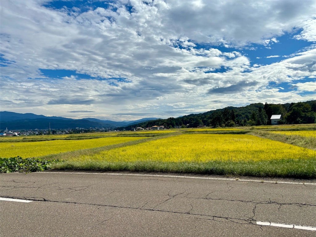 f:id:guuuskp:20251005183640j:image