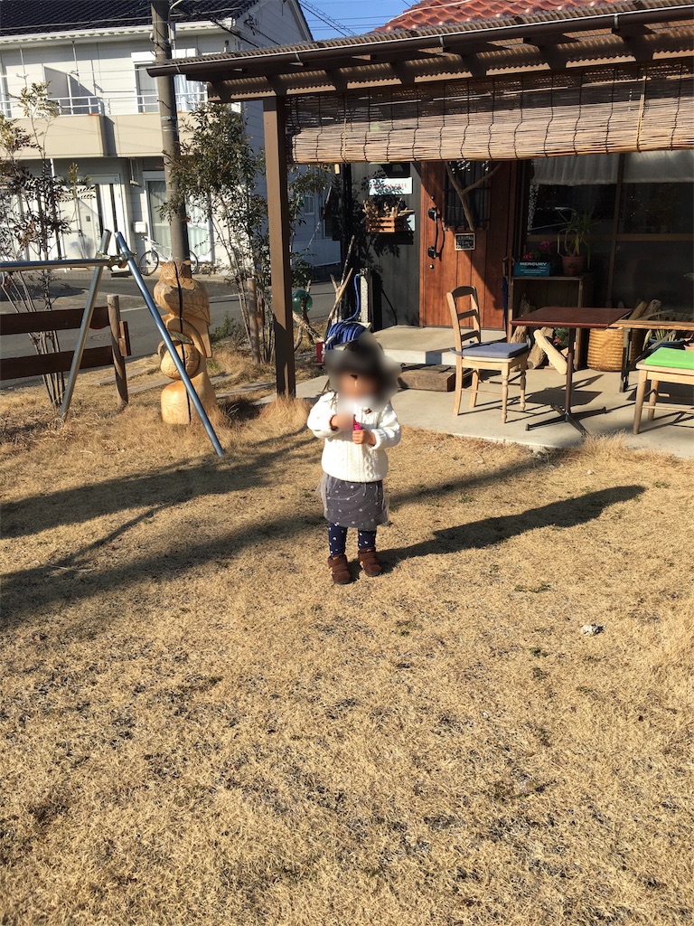 f:id:guyaso:20180210135512j:image