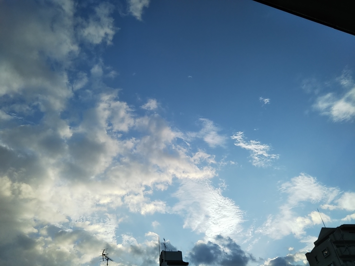 f:id:guzuni:20190722191529j:plain