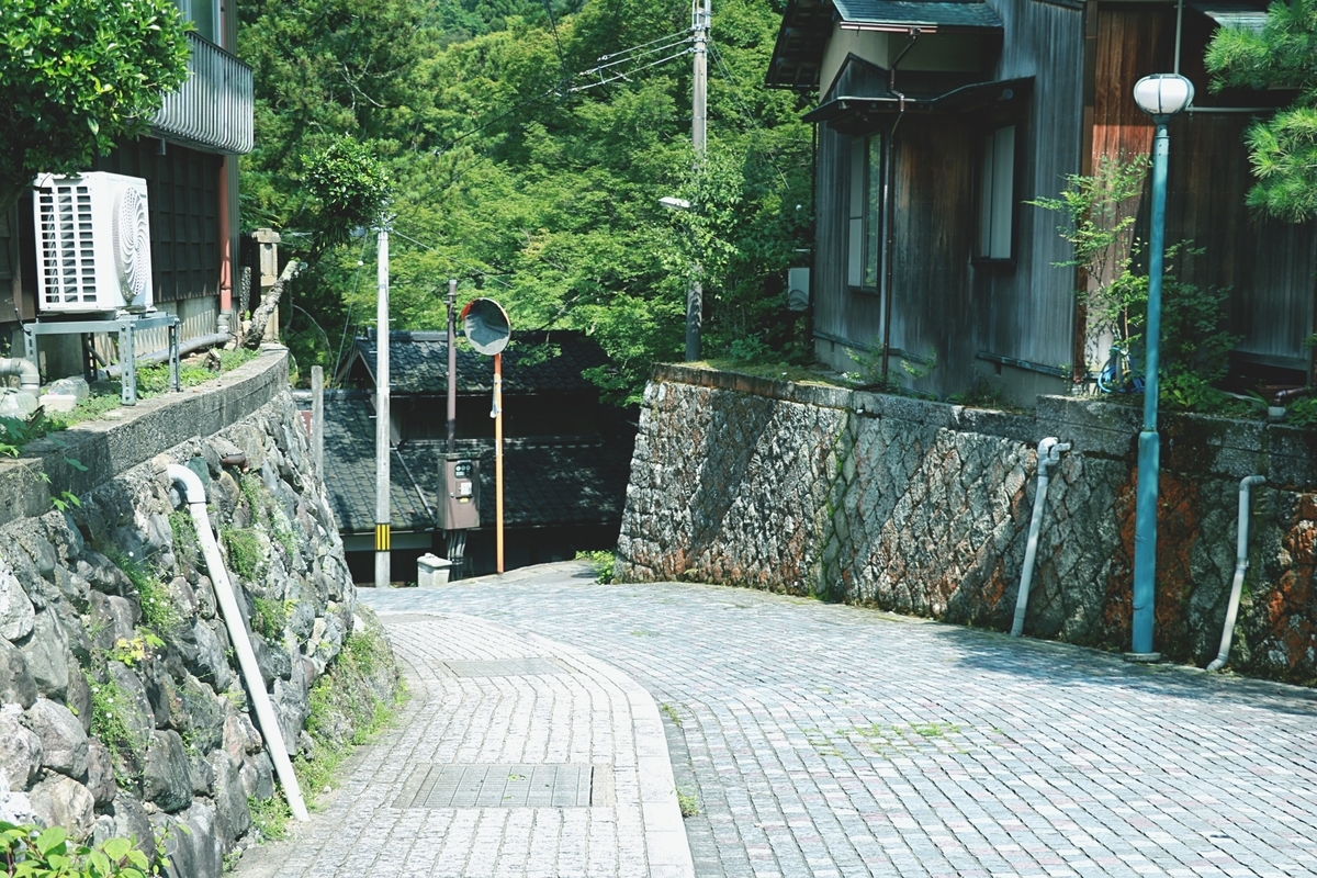 f:id:gvl710712:20200428211446j:plain f:id:gvl710712:20200428211446j:plain