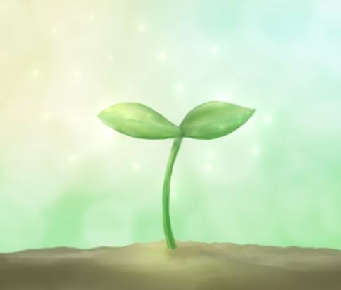 f:id:gwakakun:20220131225553j:plain