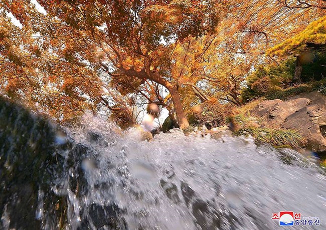 f:id:gwangzin:20201030122054j:plain