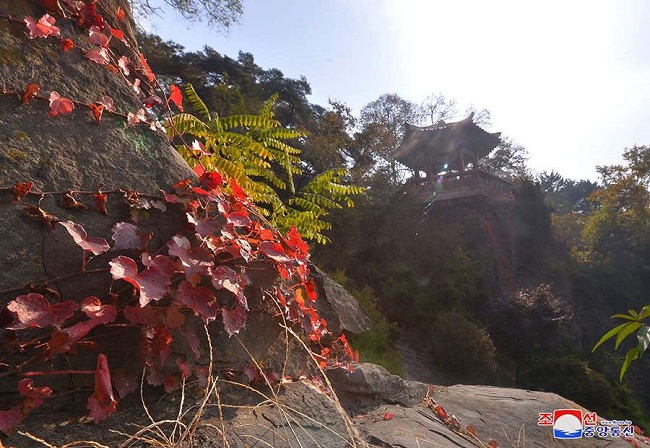 f:id:gwangzin:20201030122110j:plain