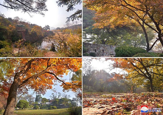 f:id:gwangzin:20201030122134j:plain