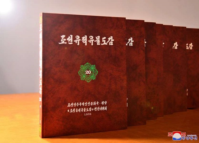 f:id:gwangzin:20201205002302j:plain