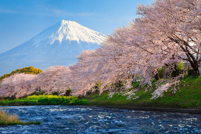 富士山