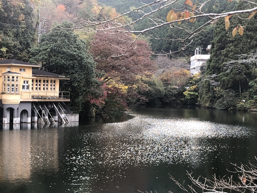 f:id:gwccGIB:20181113011152j:plain f:id:gwccGIB:20181113011152j:plain