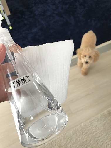 フローリング掃除