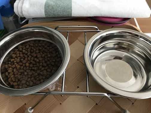 犬用食器