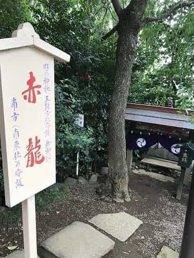 赤龍