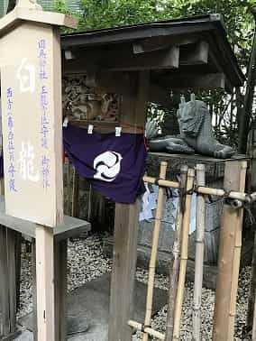 白龍