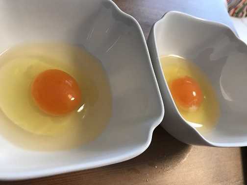 卵かけご飯