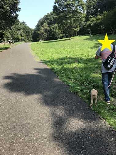 ドッグランまでの道