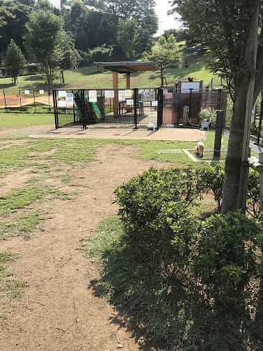 偵察