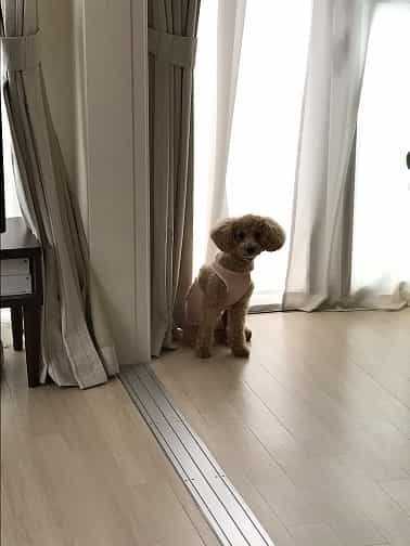 悲壮感