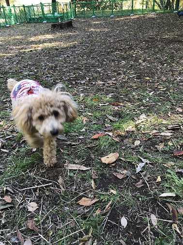 f:id:gwy05eiffel:20171112112054j:plain f:id:gwy05eiffel:20171112112054j:plain