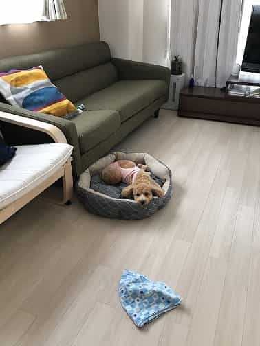 術後2