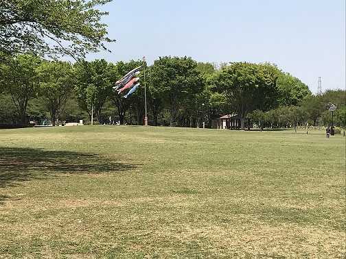 壮大な広場