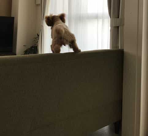 f:id:gwy05eiffel:20180609173103j:plain f:id:gwy05eiffel:20180609173103j:plain