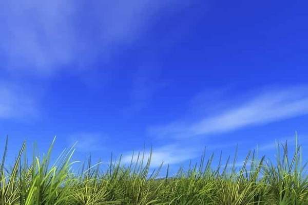 大開運日