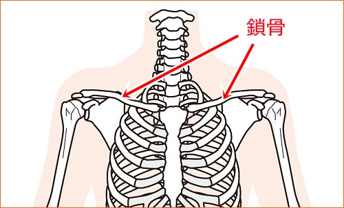 まつば 鳥の希少部位の場所を説明！レシピはブラックペッパーで 